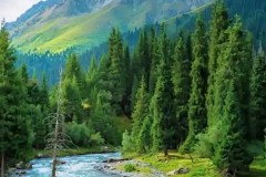 瓜迪奥拉联赛600场里程碑：12冠荣耀与史上最伟大主帅之争